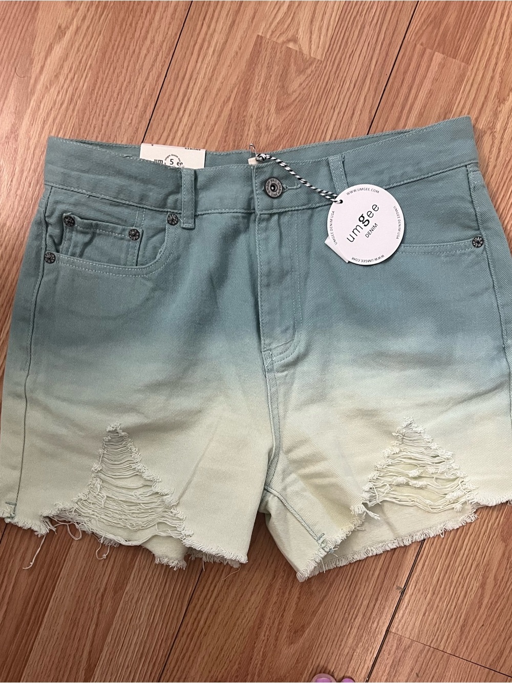 Umgee Seafoam Green to Cream Ombre Distressed High-Rise Jean Shorts